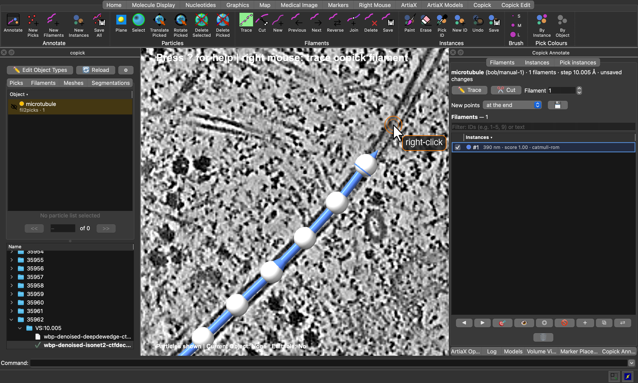 Tracing filaments in ChimeraX