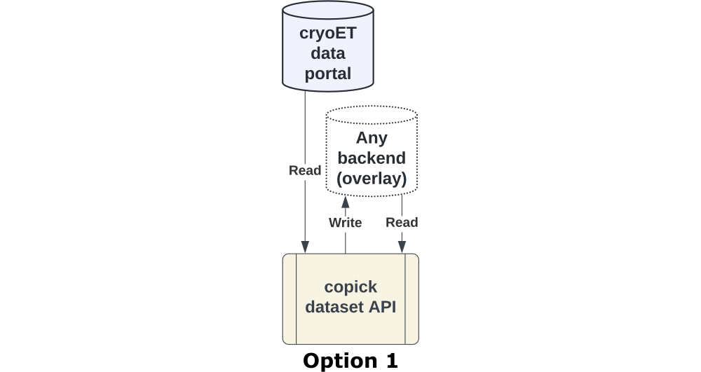 CZ cryoET Data Portal - copick