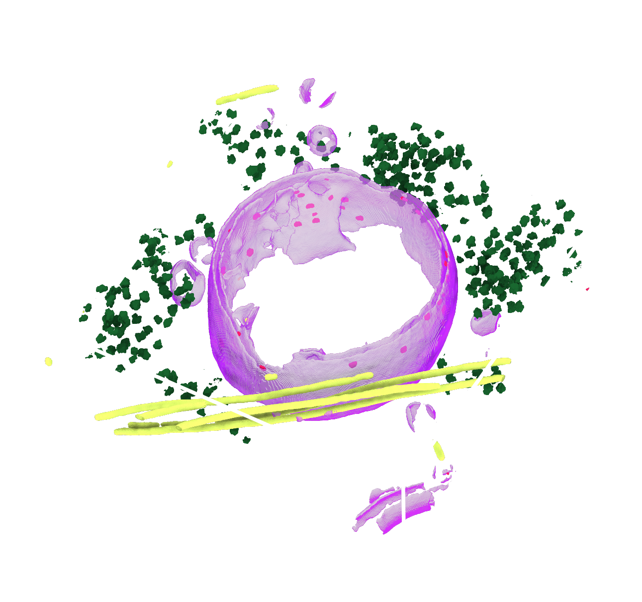 tutorial-result