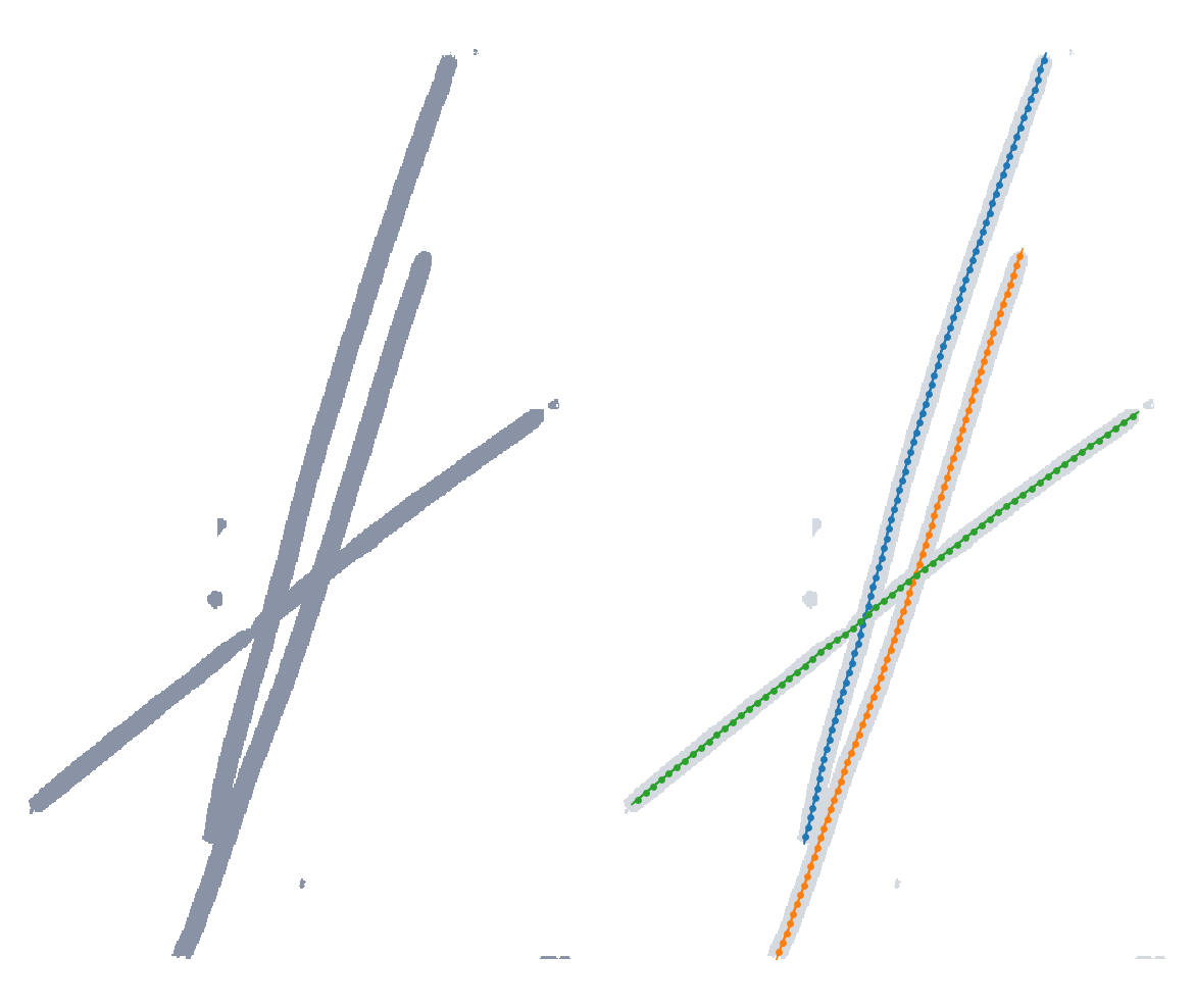 A microtubule segmentation and the filaments traced from it