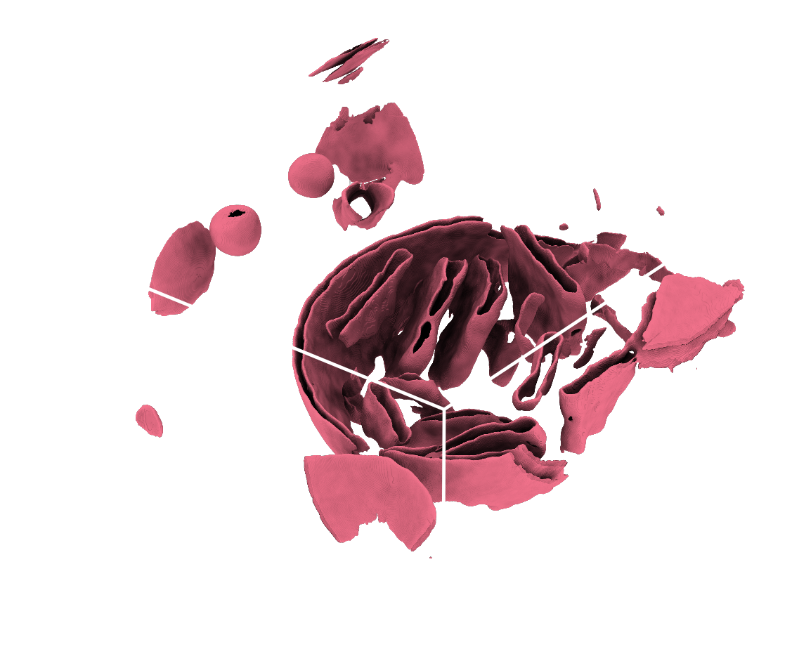 tutorial-result