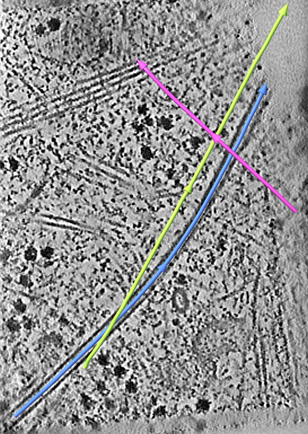traced filaments