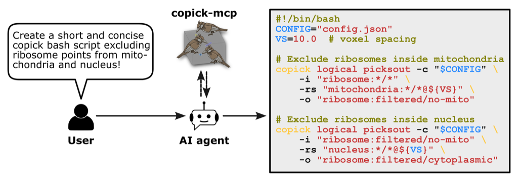 copick-mcp workflow