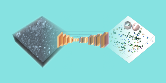 Syncing the CZII Kaggle Dataset